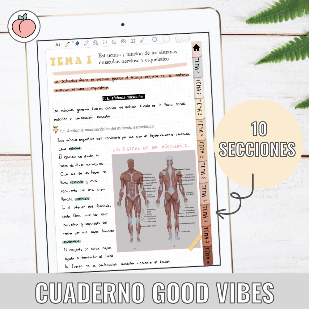 CUADERNO GOOD VIBES | HOJAS DE CUADROS