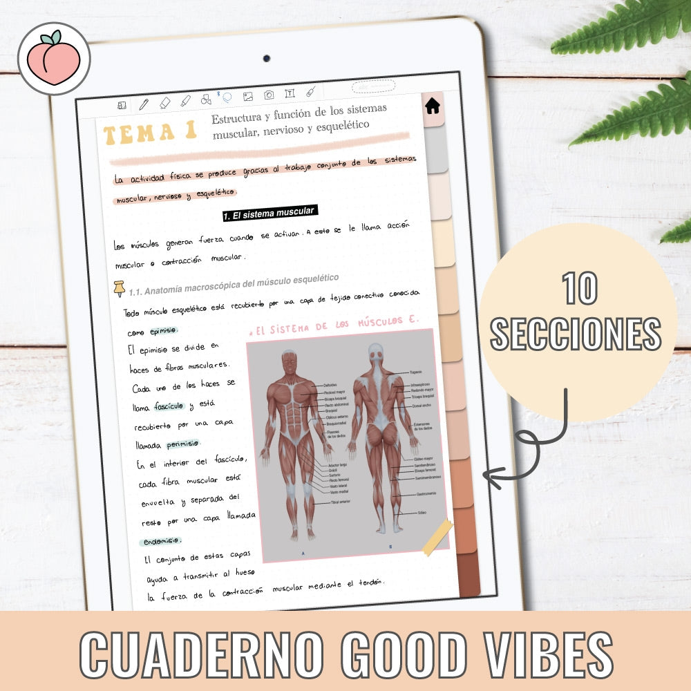 GOOD VIBES NOTEBOOK | DOTTED TEMPLATE