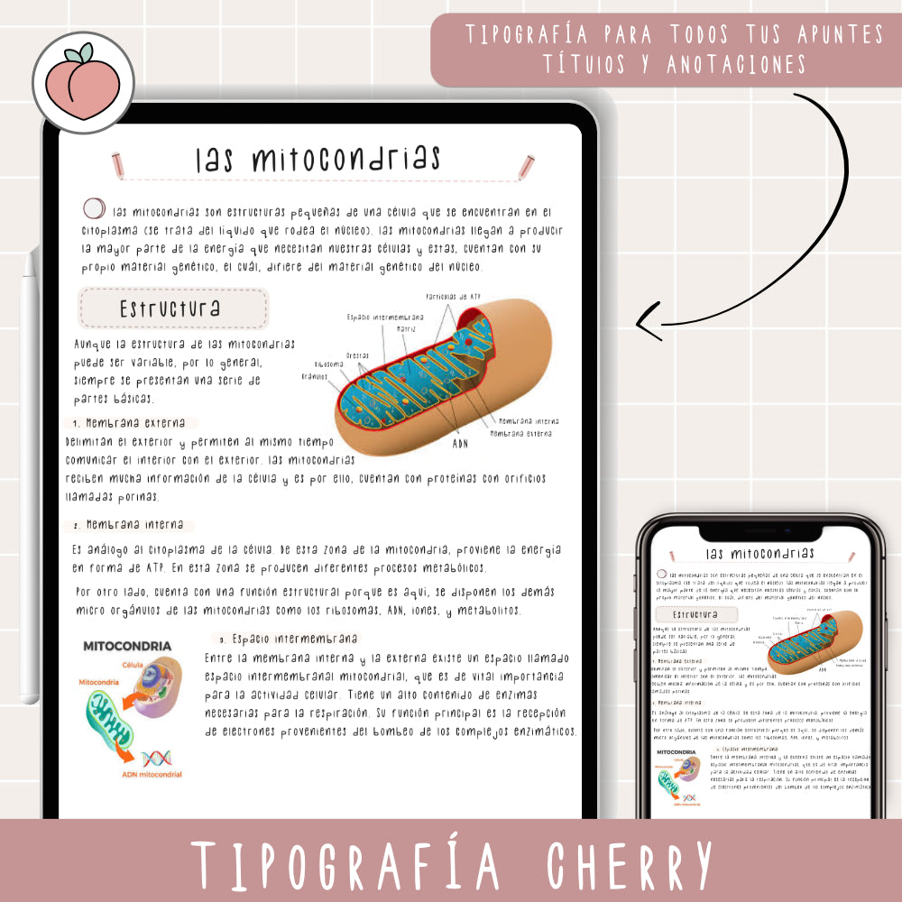 TIPOGRAFÍA MANUSCRITA CHERRY | FUENTE ESCRITA A MANO
