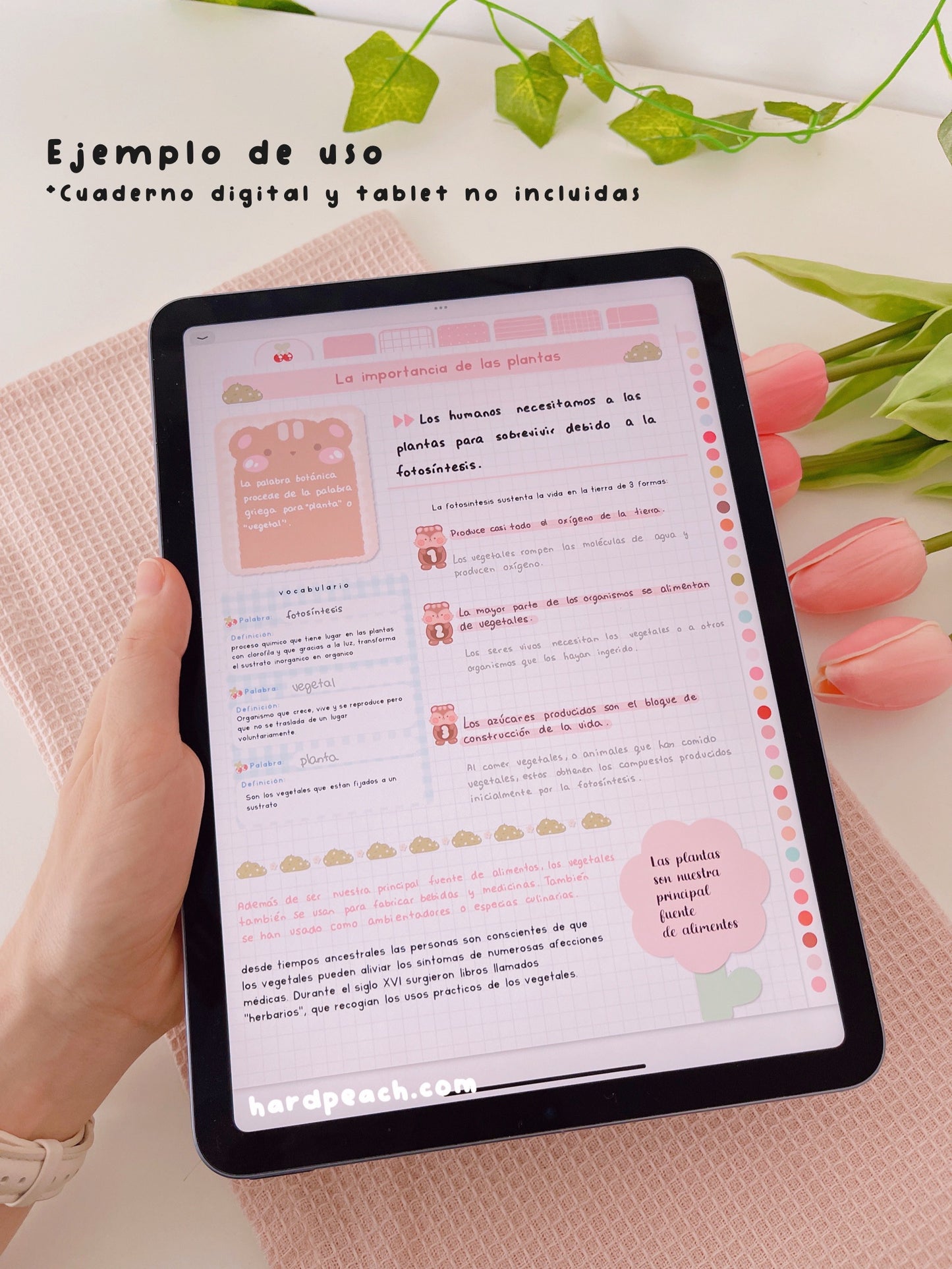 KIT DE STICKERS PARA ESTUDIANTES: Edición día de picnic. Ideal para apuntes, journal y agendas