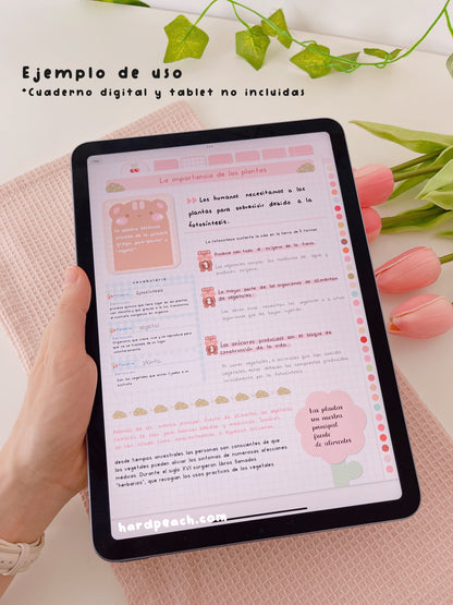 KIT DE STICKERS PARA ESTUDIANTES: Edición día de picnic. Ideal para apuntes, journal y agendas