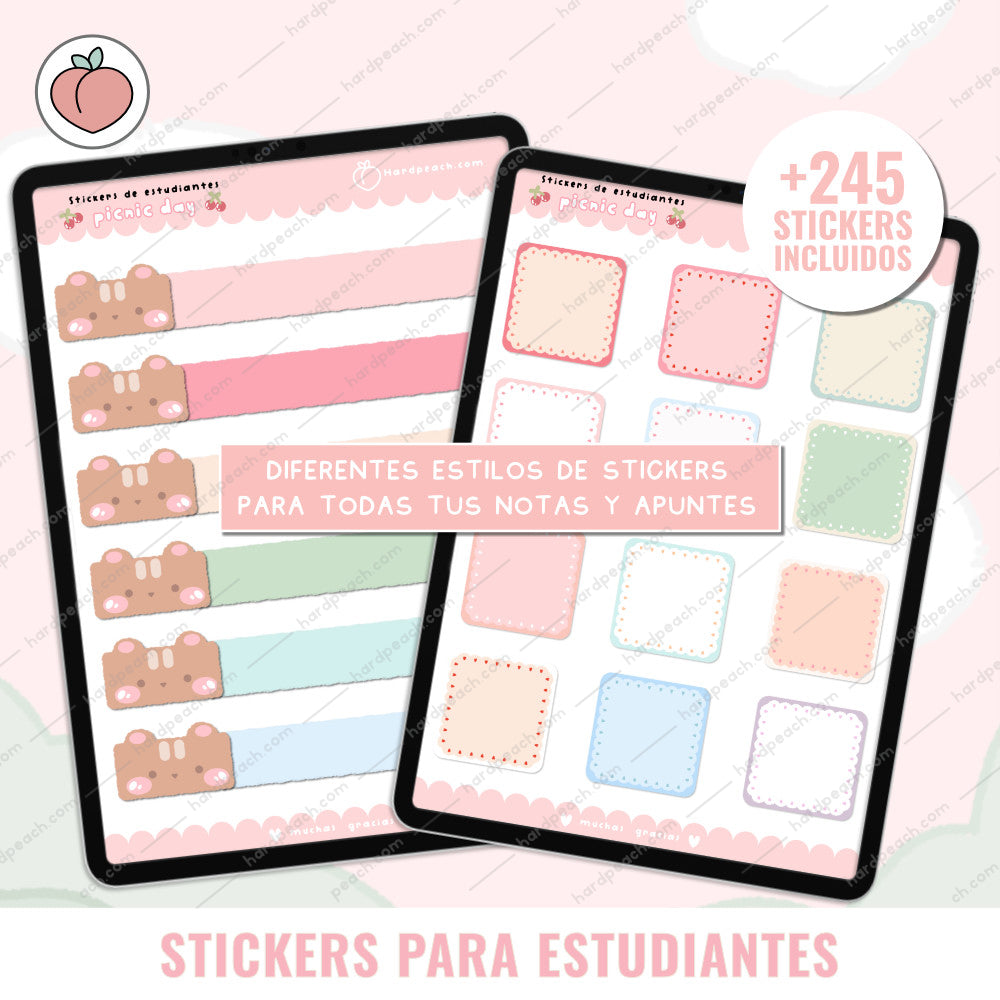 KIT DE STICKERS PARA ESTUDIANTES: Edición día de picnic. Ideal para apuntes, journal y agendas