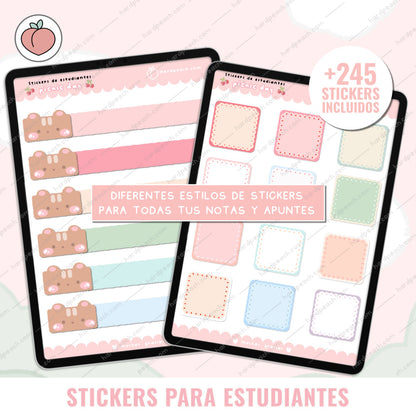 KIT DE STICKERS PARA ESTUDIANTES: Edición día de picnic. Ideal para apuntes, journal y agendas