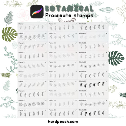 BOTANICAL BRUSHES - PROCREATE STAMPS