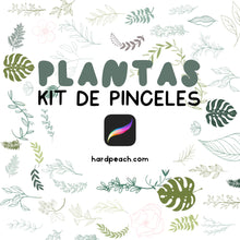 Cargar imagen en el visor de la galería, KIT COMPLETO DE CURSOS Y PINCELES PARA PROCREATE: ILUSTRACIÓN DIGITAL KAWAII, PAISAJES DE FANTASÍA, CREACIÓN DE PERSONAJES KAWAII, ACUARELA DIGITAL Y LETTERING DIGITAL + PINCELES
