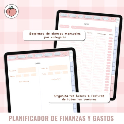PLANIFICADOR DIGITAL DE FINANZAS Y GASTOS: Presupuestos, control y seguimiento mensual de gastos e ingresos con stickers incluidos. Edición pastel