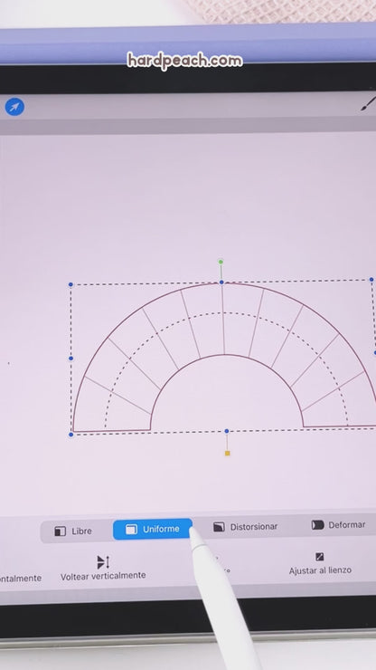 CURSO DE LETTERING DIGITAL EN PROCREATE DE CERO A AVANZADO: Curso con lecciones paso a paso, técnicas, estilos, pinceles y recursos descargables