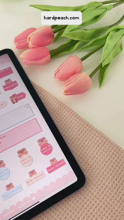 KIT DE STICKERS PARA ESTUDIANTES: Edición día de picnic. Ideal para apuntes, journal y agendas