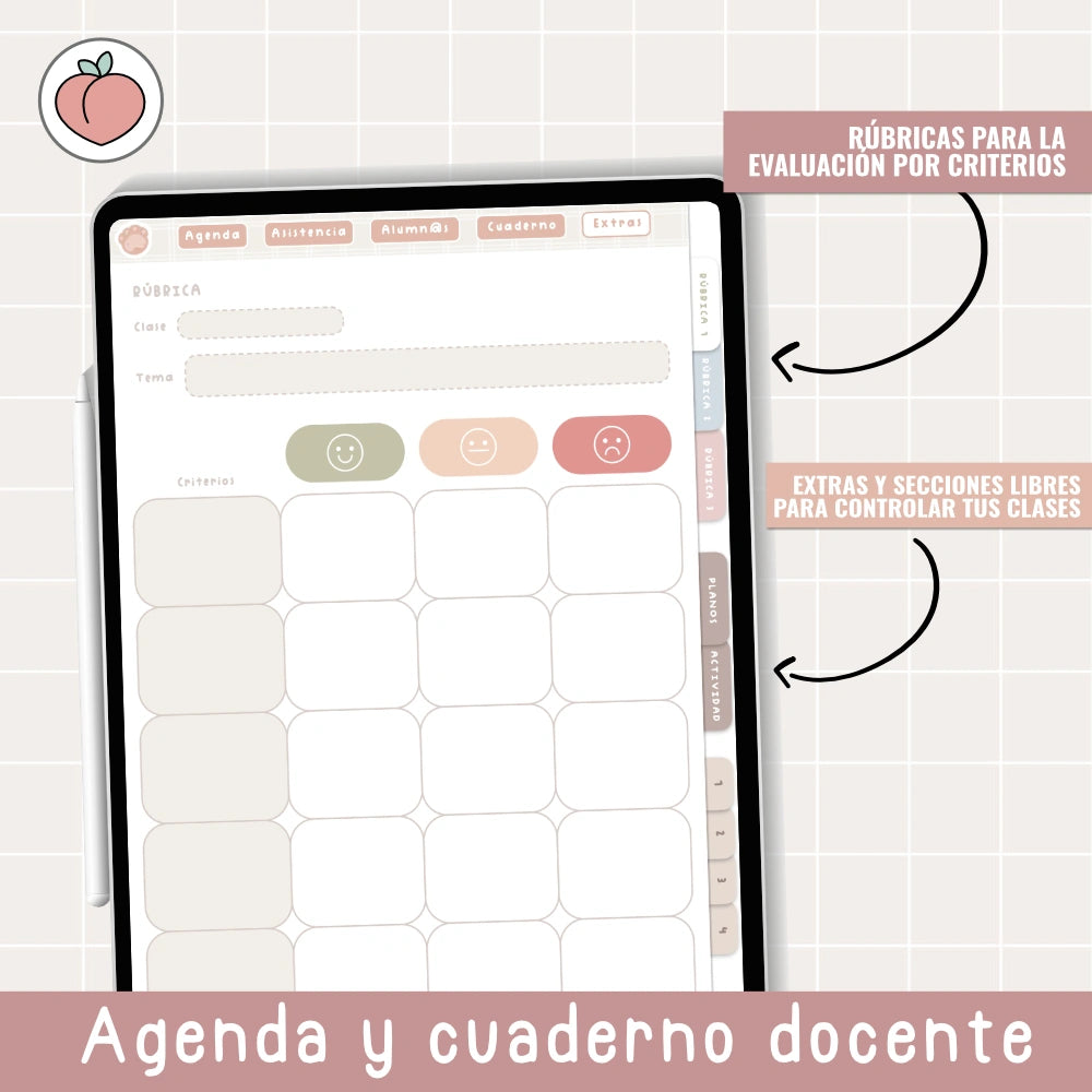 Rubricas para profesores
