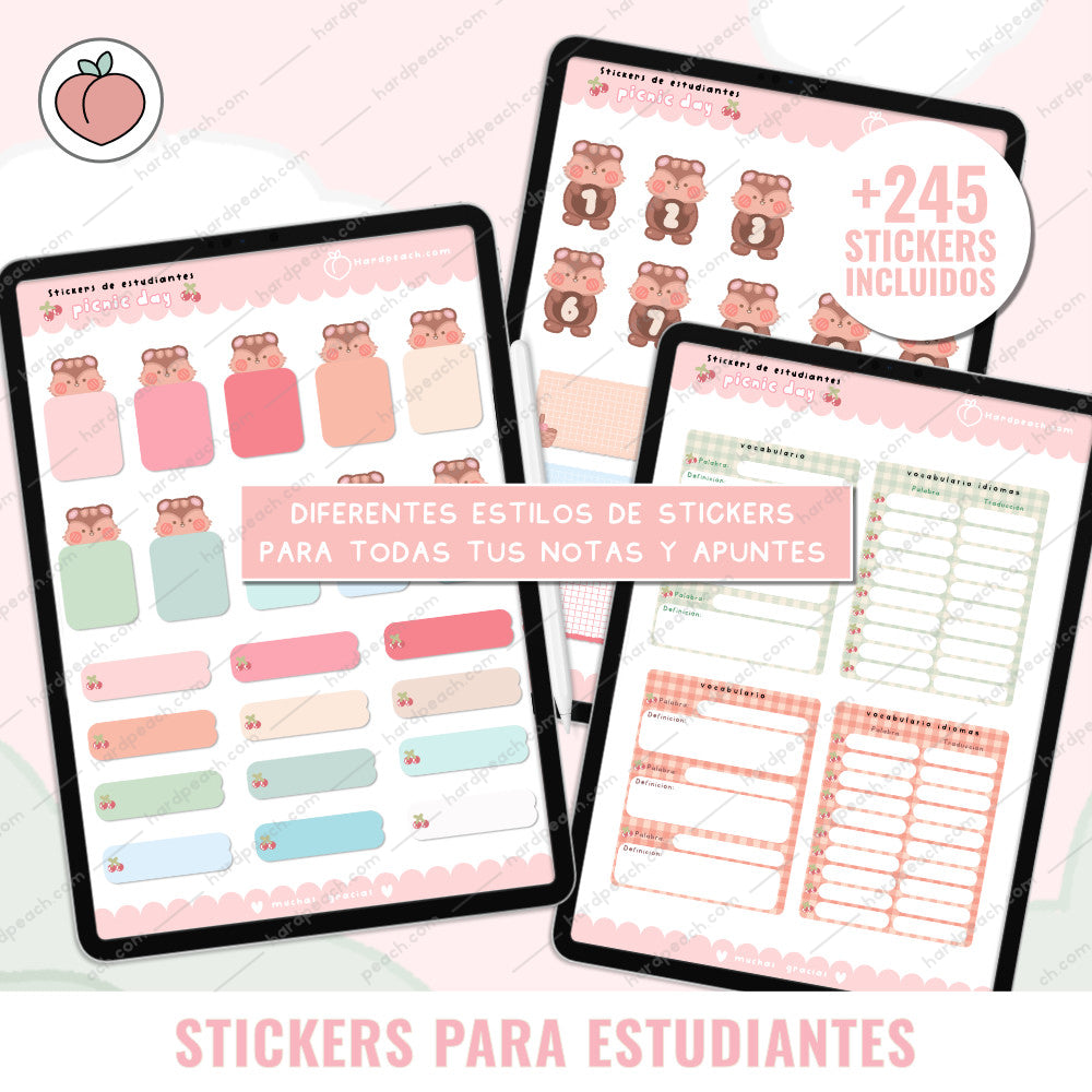 KIT DE STICKERS PARA ESTUDIANTES: Edición día de picnic. Ideal para apuntes, journal y agendas