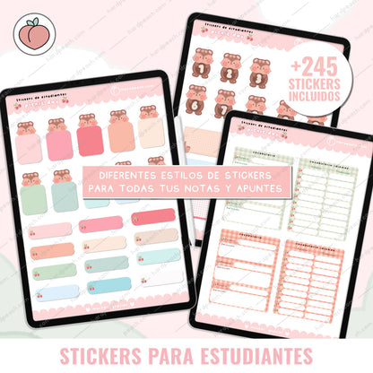 KIT DE STICKERS PARA ESTUDIANTES: Edición día de picnic. Ideal para apuntes, journal y agendas