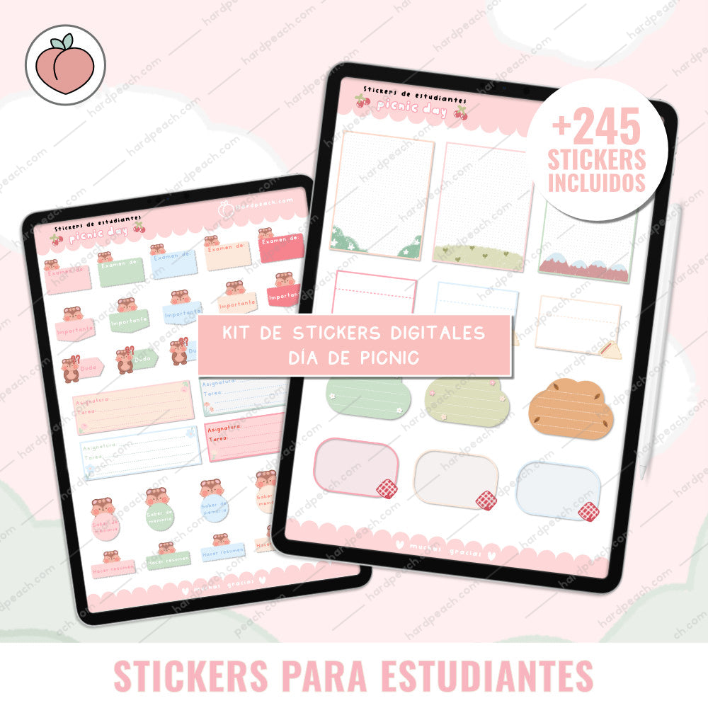 KIT DE STICKERS PARA ESTUDIANTES: Edición día de picnic. Ideal para apuntes, journal y agendas