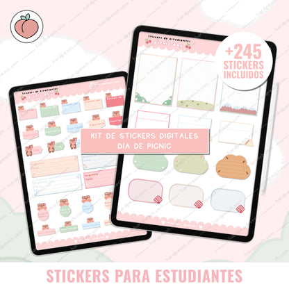 KIT DE STICKERS PARA ESTUDIANTES: Edición día de picnic. Ideal para apuntes, journal y agendas
