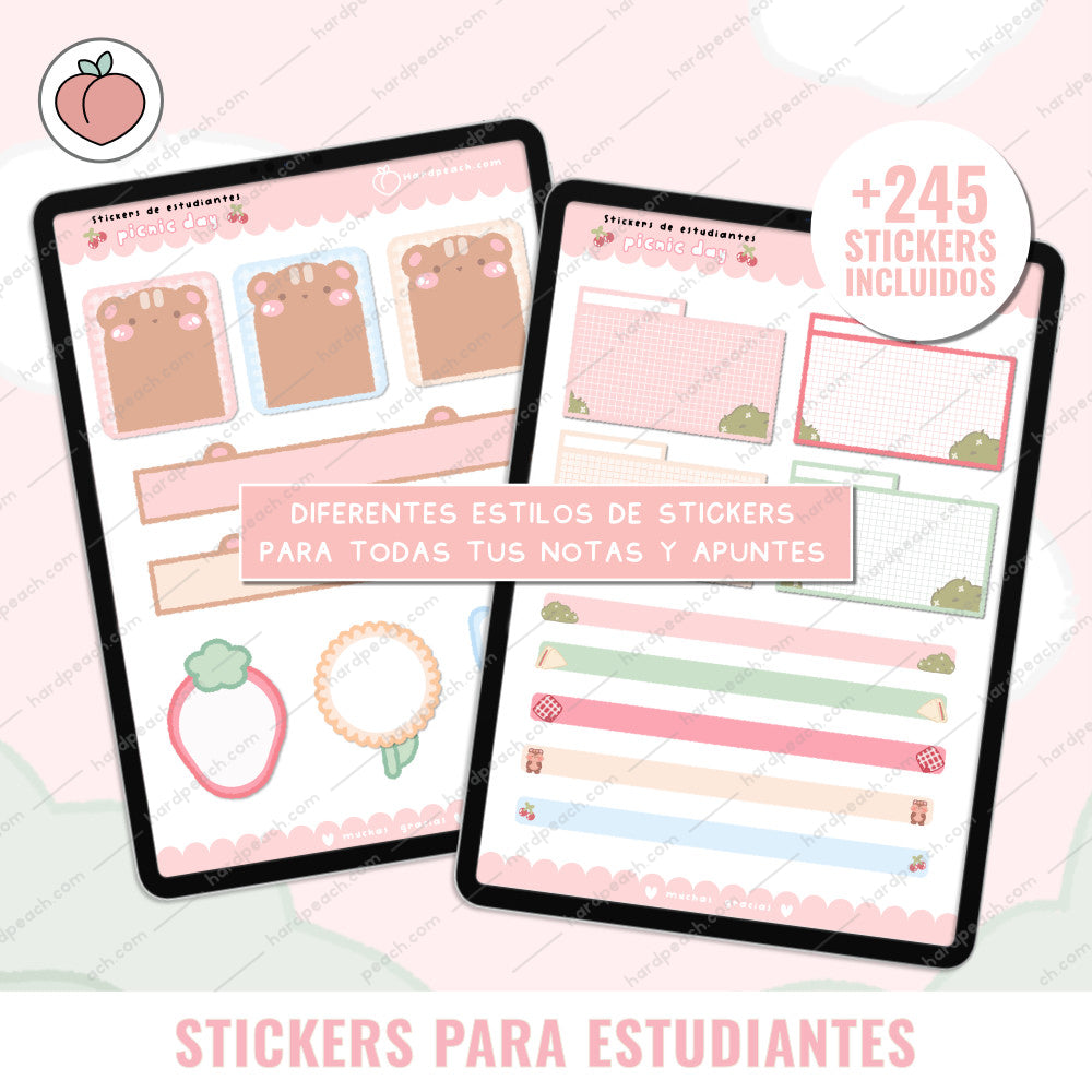 KIT DE STICKERS PARA ESTUDIANTES: Edición día de picnic. Ideal para apuntes, journal y agendas
