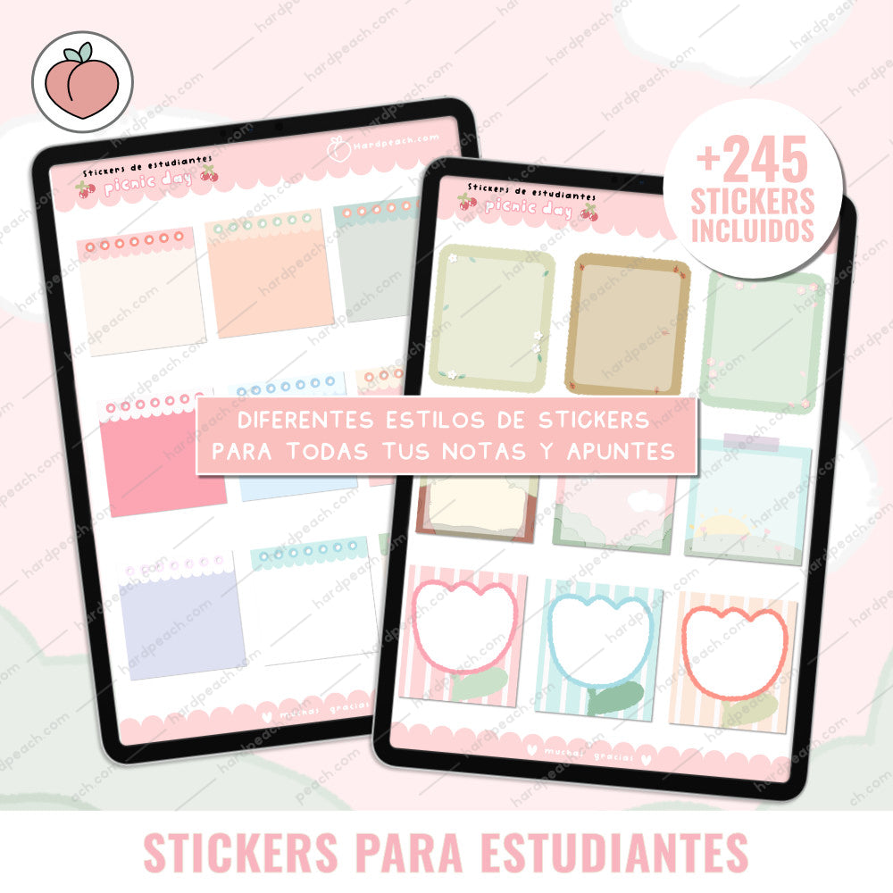 KIT DE STICKERS PARA ESTUDIANTES: Edición día de picnic. Ideal para apuntes, journal y agendas