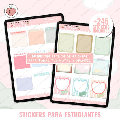 KIT DE STICKERS PARA ESTUDIANTES: Edición día de picnic. Ideal para apuntes, journal y agendas