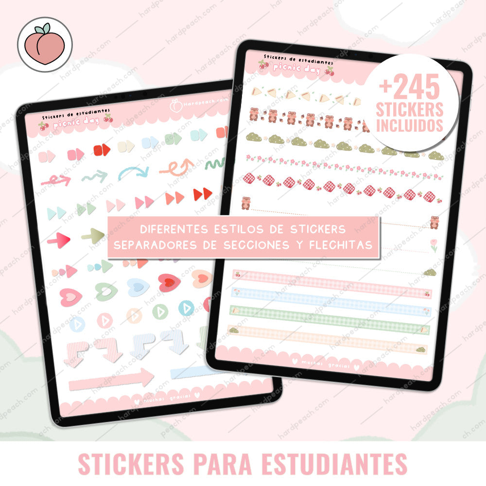 KIT DE STICKERS PARA ESTUDIANTES: Edición día de picnic. Ideal para apuntes, journal y agendas
