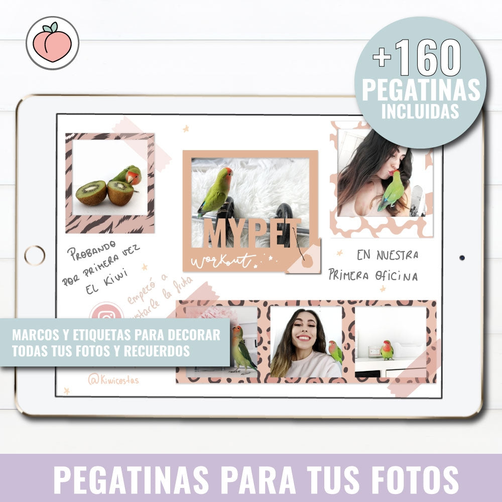 STICKERS PARA FOTOS | PEGATINAS DIGITALES