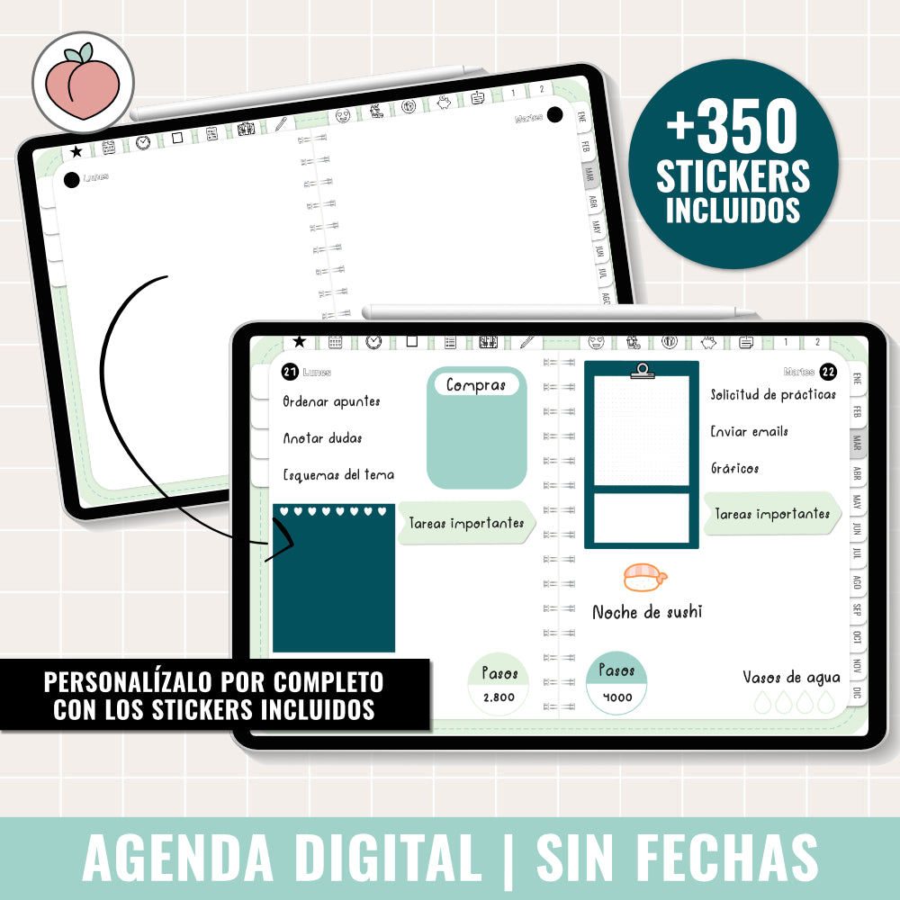 AGENDA DIGITAL SIN FECHAS Y REUTILIZABLE: MINIMALISTA EDICIÓN MENTA | AGENDA DÍA POR PÁGINA CON STICKERS INCLUIDOS