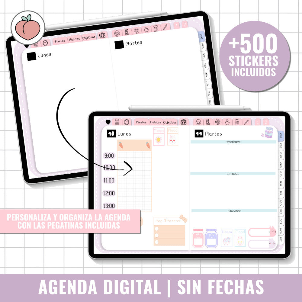 AGENDA DIGITAL SIN FECHAS Y REUTILIZABLE | AGENDA DÍA POR PÁGINA CON STICKERS INCLUIDOS