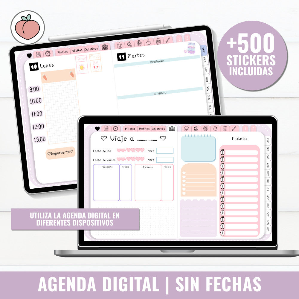 AGENDA DIGITAL SIN FECHAS Y REUTILIZABLE | AGENDA DÍA POR PÁGINA CON STICKERS INCLUIDOS