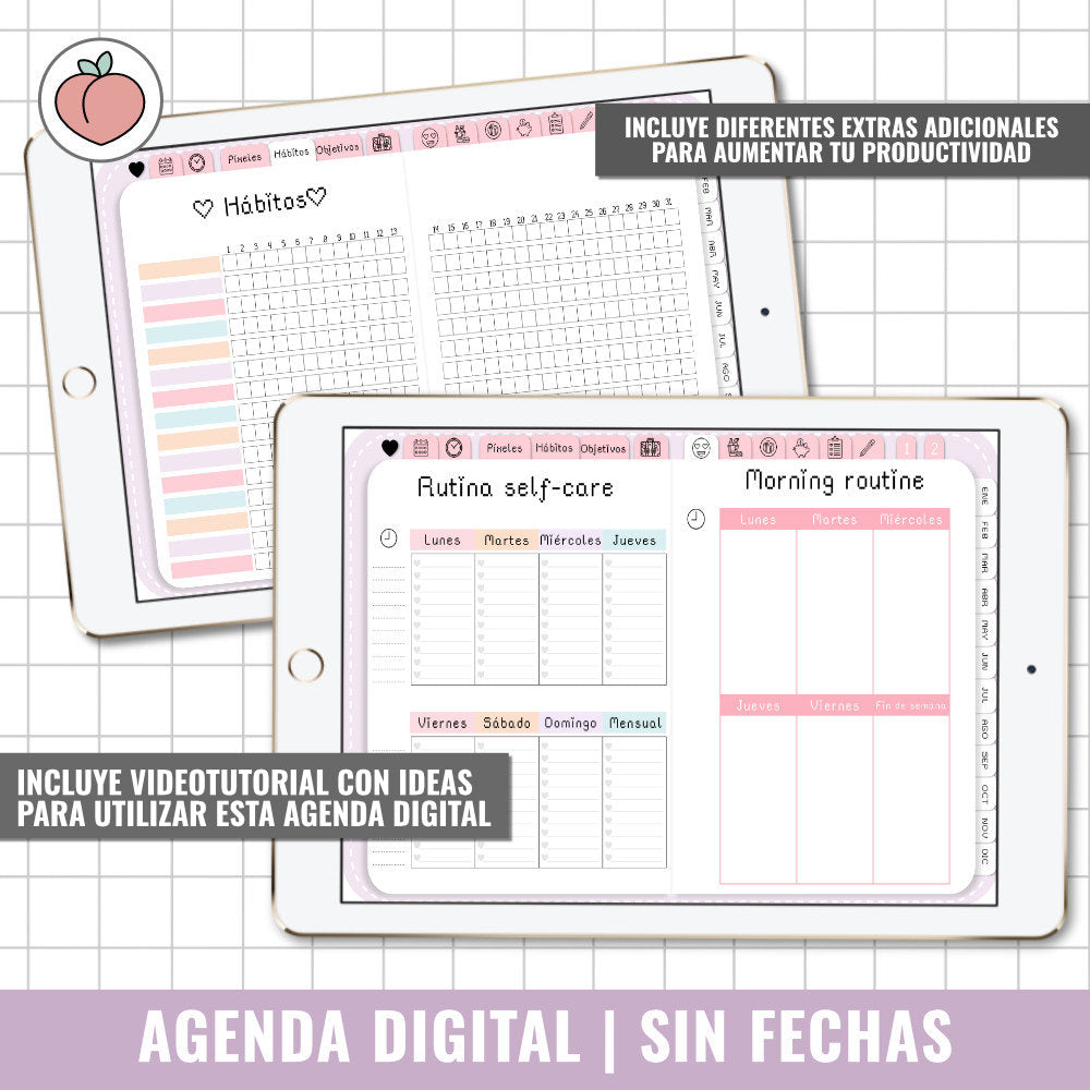 AGENDA DIGITAL SIN FECHAS Y REUTILIZABLE | AGENDA DÍA POR PÁGINA CON STICKERS INCLUIDOS