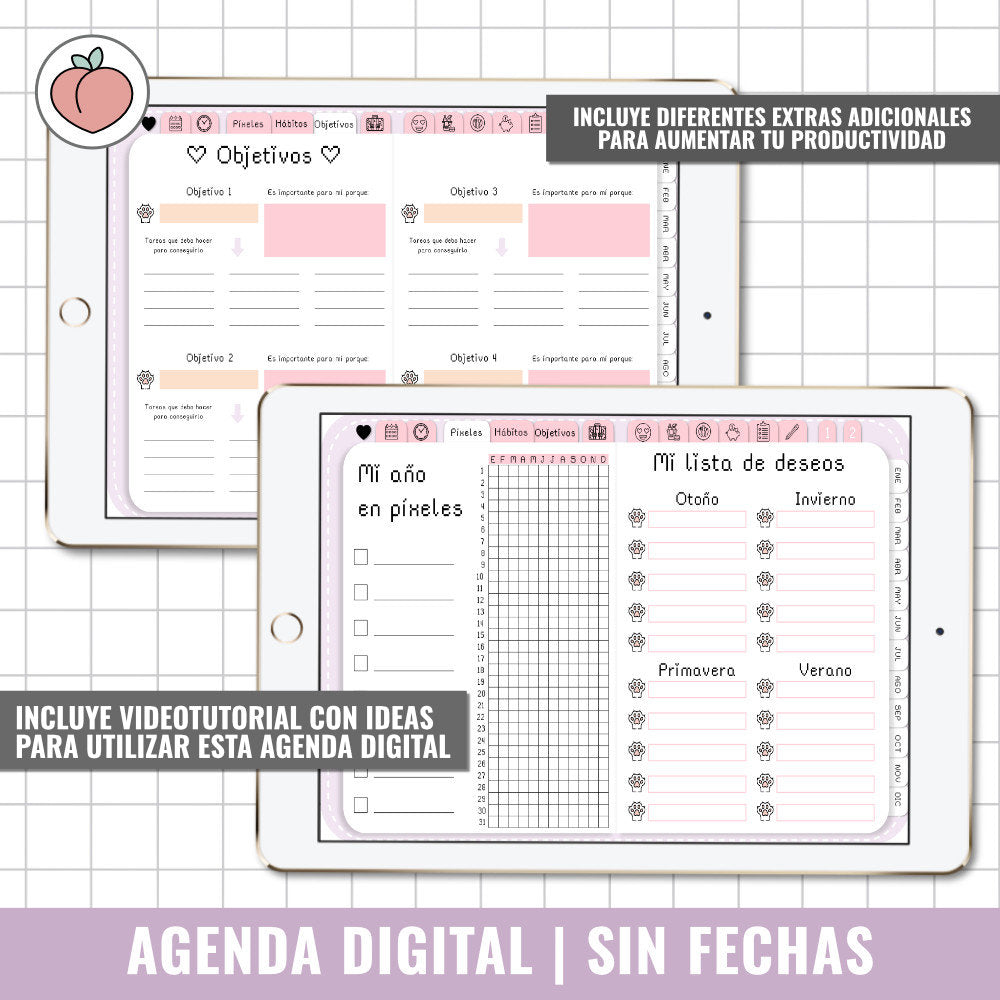 AGENDA DIGITAL SIN FECHAS Y REUTILIZABLE | AGENDA DÍA POR PÁGINA CON STICKERS INCLUIDOS