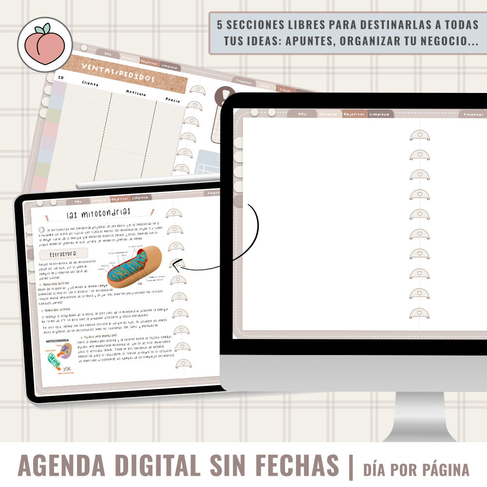 AGENDA DIGITAL SIN FECHAS Y REUTILIZABLE: agenda vista día con stickers y extras para organizar tus planes y proyectos