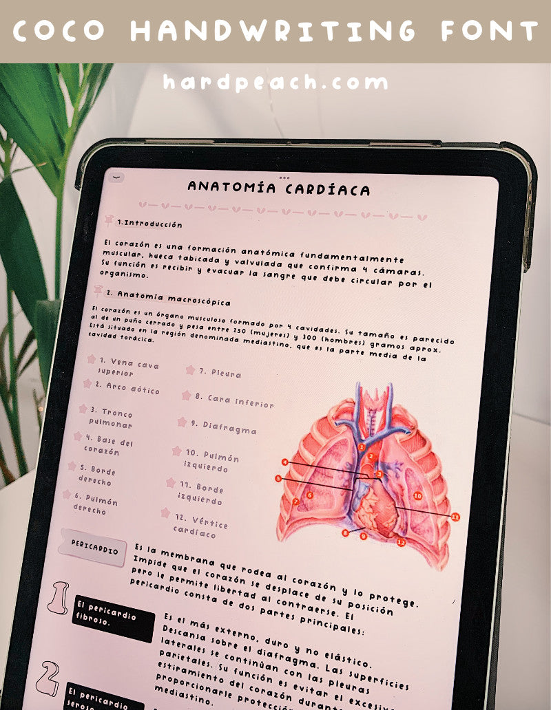 COCO HANDWRITTEN FONT