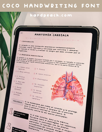 COCO HANDWRITTEN FONT