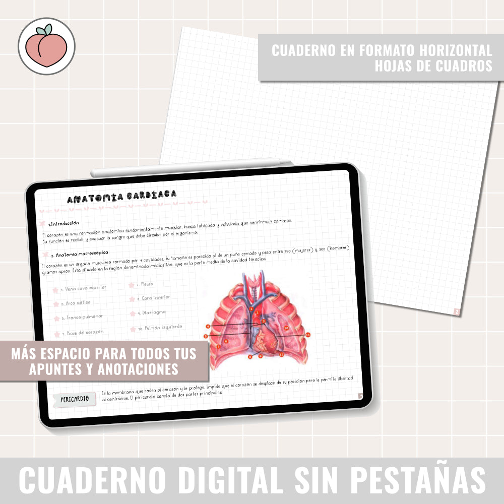 HORIZONTAL DIGITAL NOTEBOOK WITHOUT TABS WITH LINKS | GRID PAPER