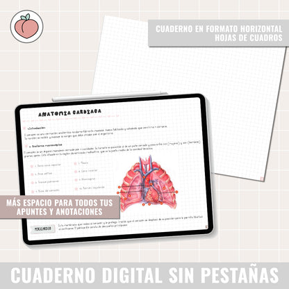 HORIZONTAL DIGITAL NOTEBOOK WITHOUT TABS WITH LINKS | GRID PAPER