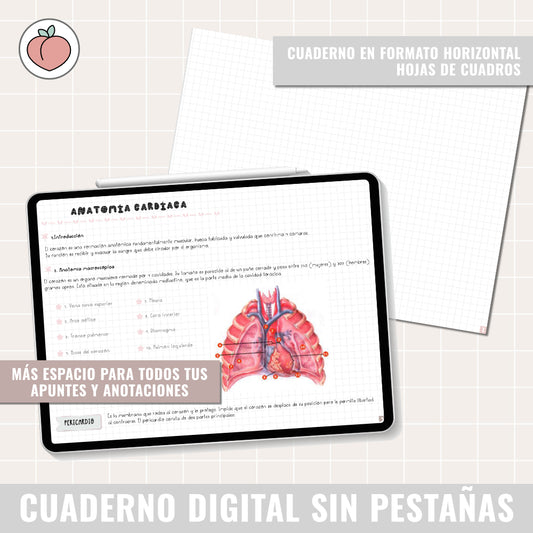 HORIZONTAL DIGITAL NOTEBOOK WITHOUT TABS WITH LINKS | GRID PAPER