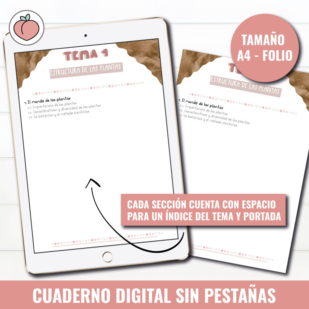 CUADERNO DIGITAL SIN PESTAÑAS