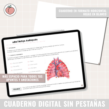 HORIZONTAL DIGITAL NOTEBOOK WITHOUT TABS WITH LINKS | WHITE PAGES