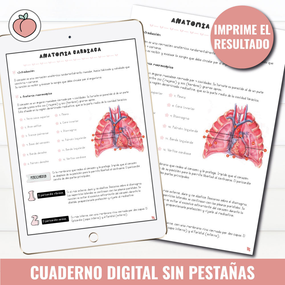 CUADERNO DIGITAL SIN PESTAÑAS