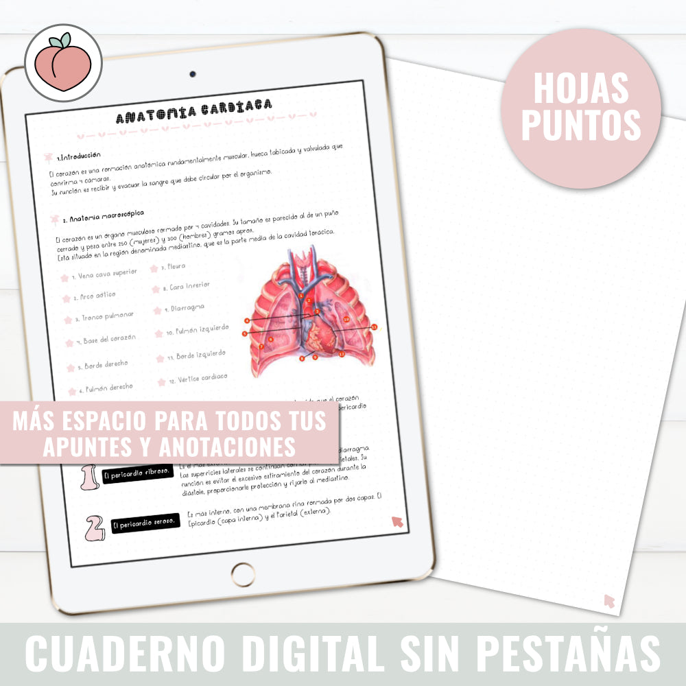 CUADERNO DIGITAL SIN PESTAÑAS | HOJAS DE PUNTOS
