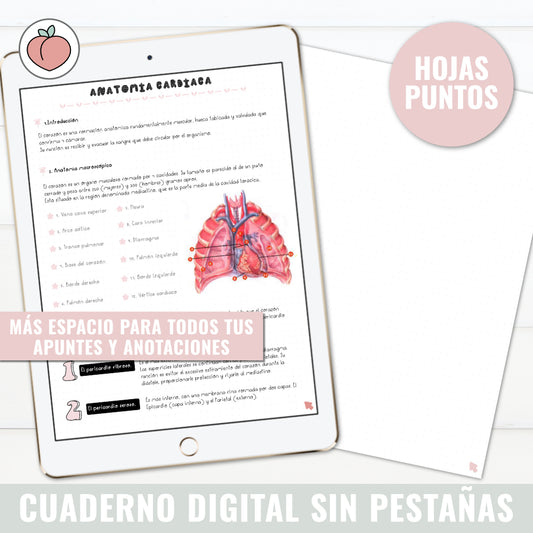 DIGITAL NOTEBOOK WITHOUT TABS | DOTTED SHEETS WITH LINKS