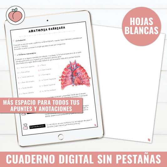 CUADERNO DIGITAL SIN PESTAÑAS | HOJAS BLANCAS