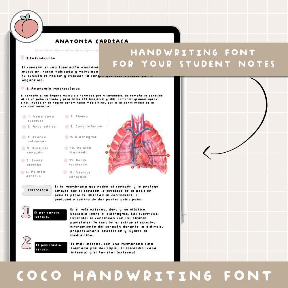 COCO HANDWRITTEN FONT
