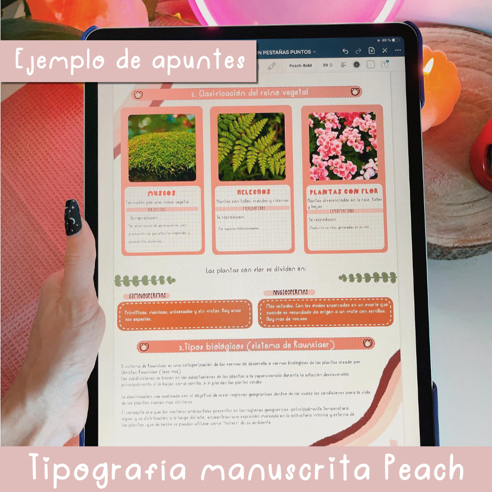 TIPOGRAFÍA MANUSCRITA PEACH  | FUENTE ESCRITA A MANO