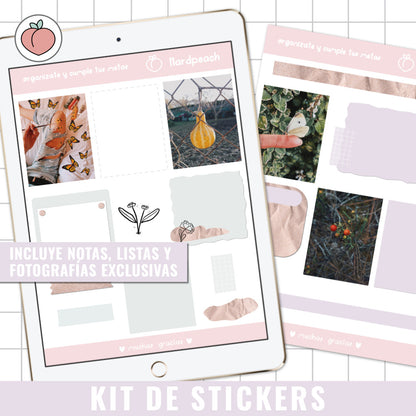 KIT DE STICKERS | PEGATINAS DIGITALES