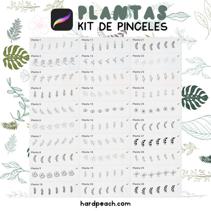 KIT DE PINCELES PARA PROCREATE: Plantas y hojas. Perfectos para ilustraciones botánicas, fondos y detalles naturales