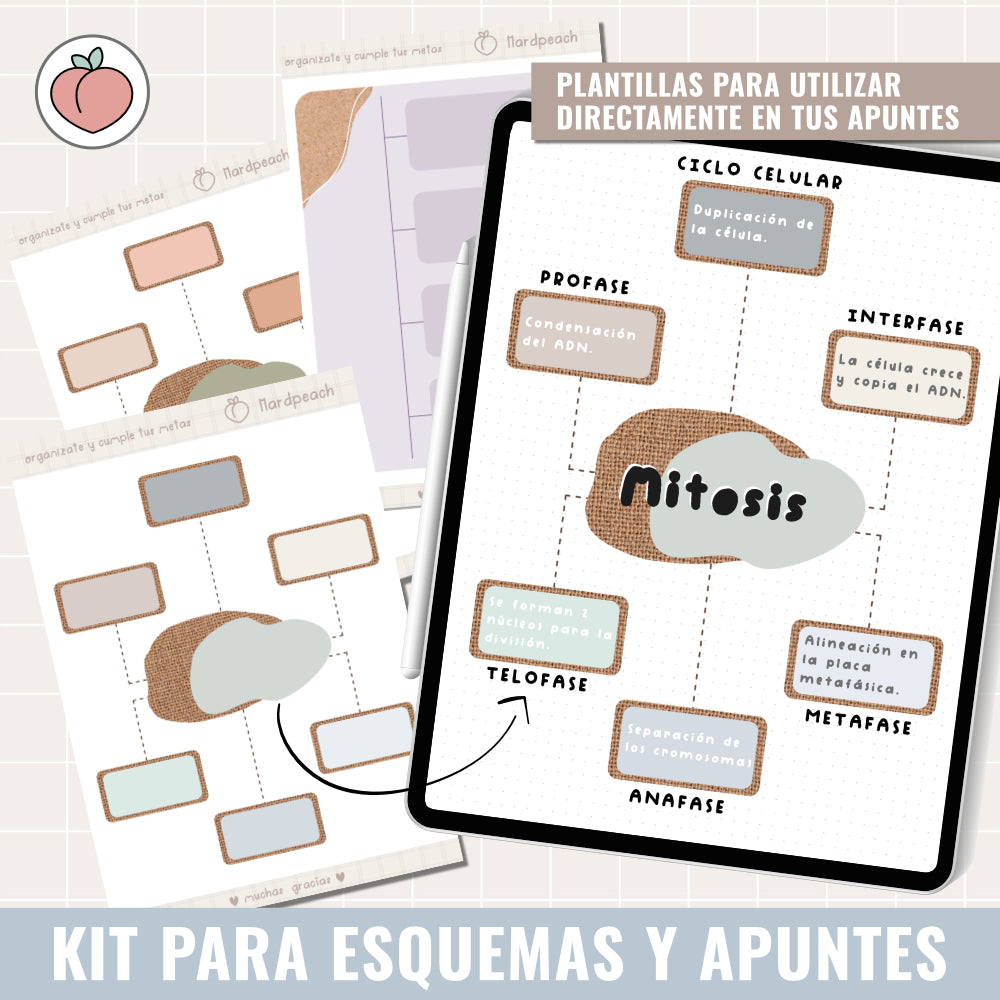 KIT DE STICKERS PARA ESTUDIANTES | ESQUEMAS Y APUNTES