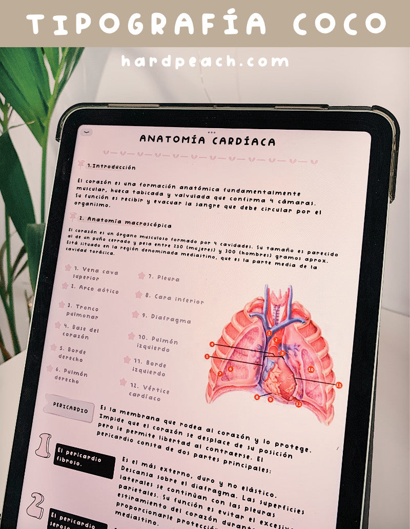 TIPOGRAFÍA MANUSCRITA COCO | FUENTE ESCRITA A MANO