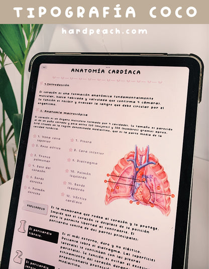 TIPOGRAFÍA MANUSCRITA COCO | FUENTE ESCRITA A MANO
