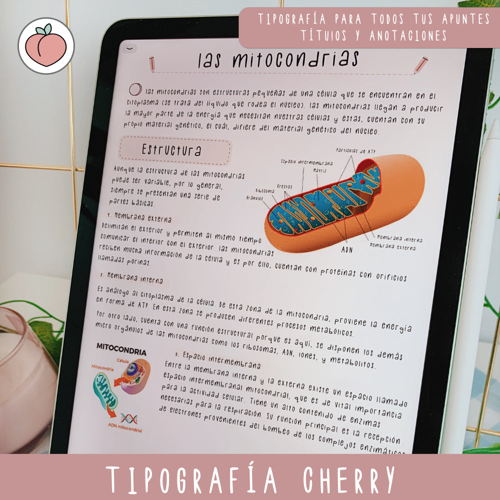 TIPOGRAFÍA MANUSCRITA  CHERRY | FUENTE ESCRITA A MANO