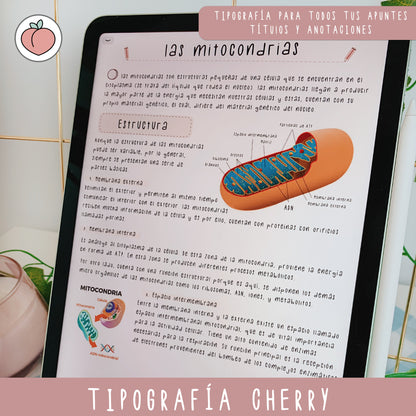 TIPOGRAFÍA MANUSCRITA  CHERRY | FUENTE ESCRITA A MANO