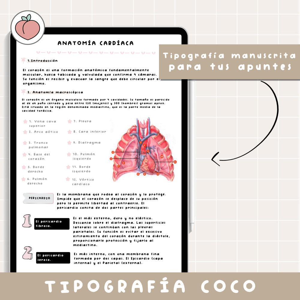 TIPOGRAFÍA MANUSCRITA COCO | FUENTE ESCRITA A MANO