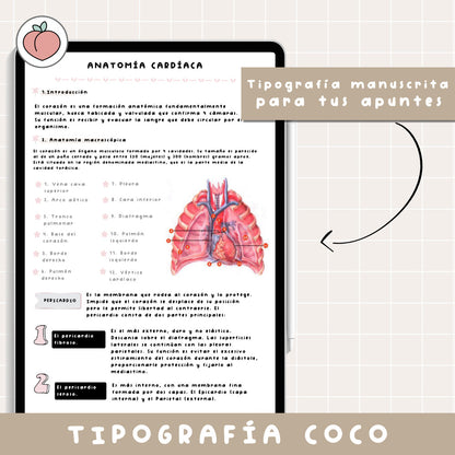 TIPOGRAFÍA MANUSCRITA COCO | FUENTE ESCRITA A MANO